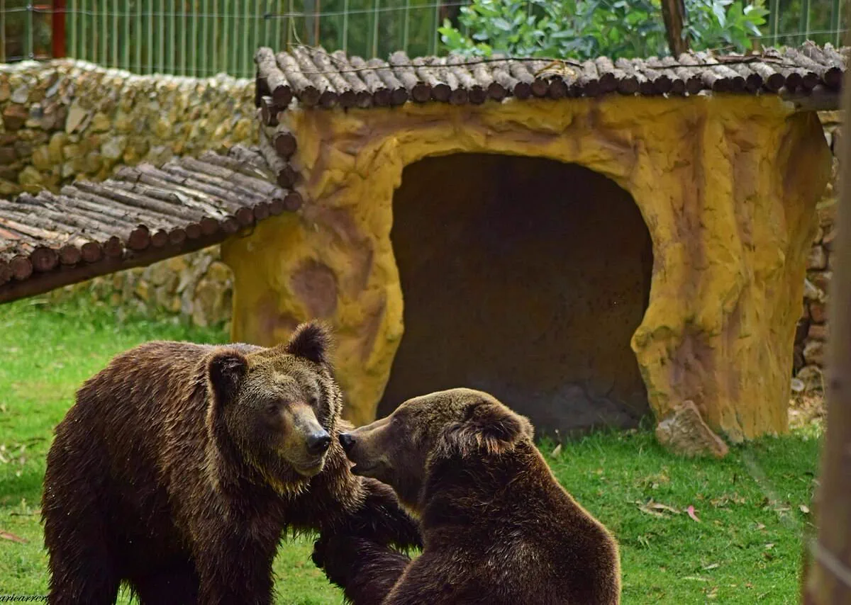 Bioparque Guátika